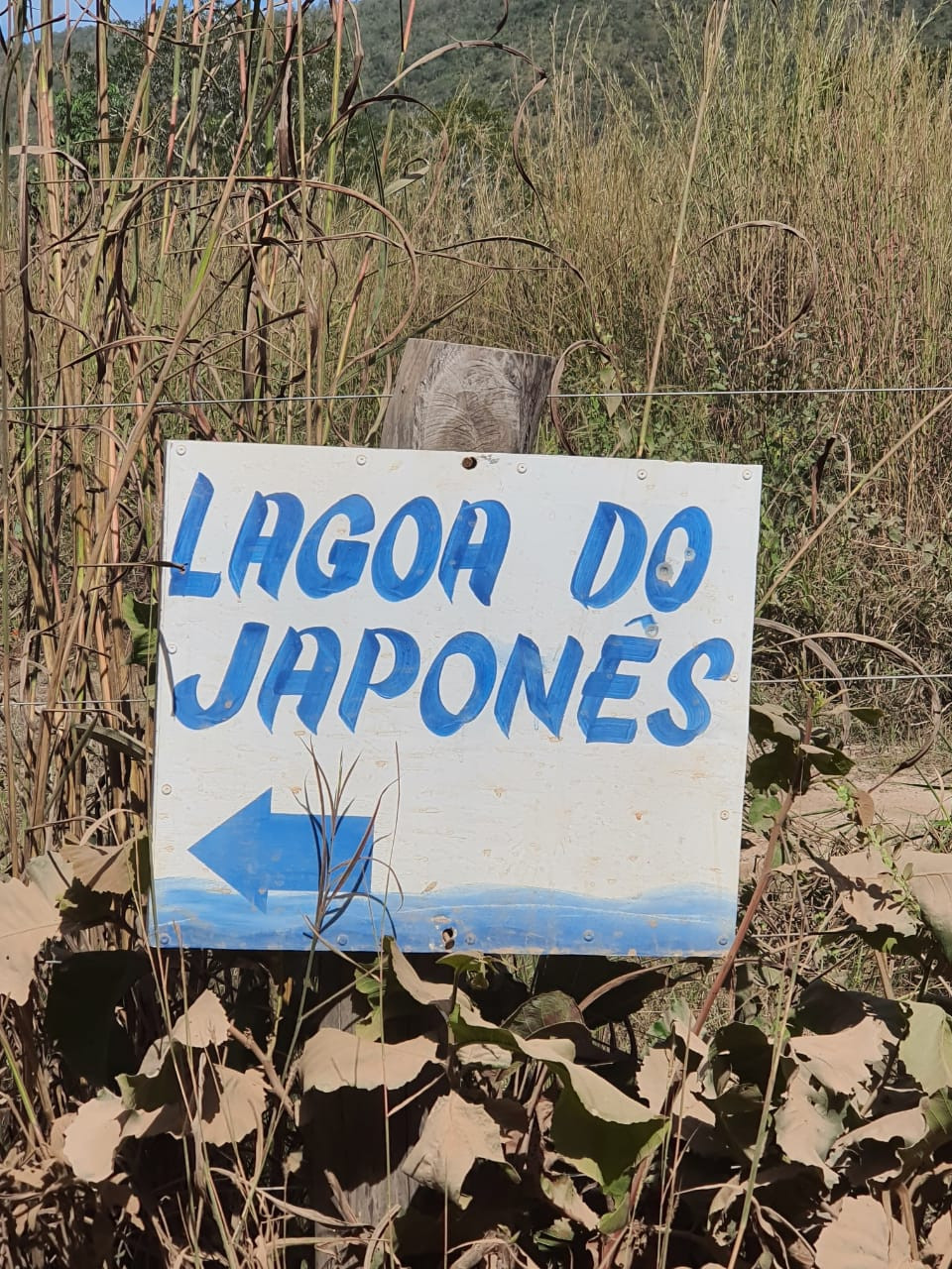 Lagoa do Japonês