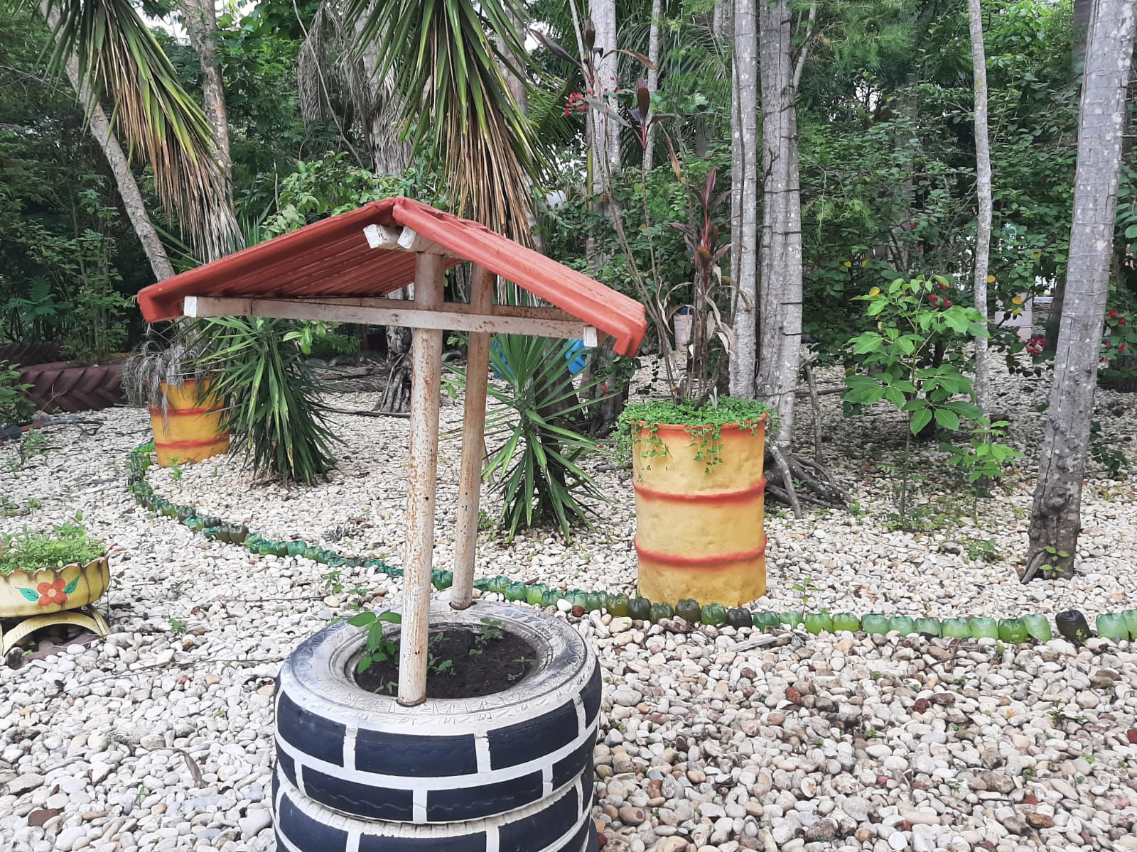 Praça Ecologica Pedro Pinheiro