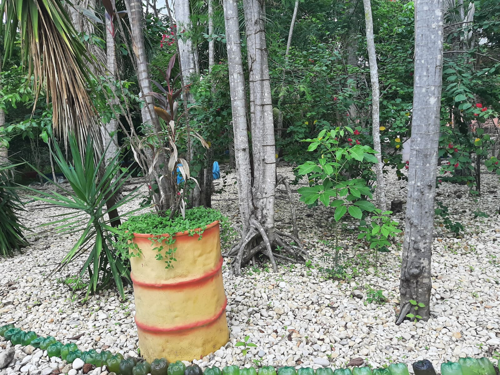 Praça Ecologica Pedro Pinheiro