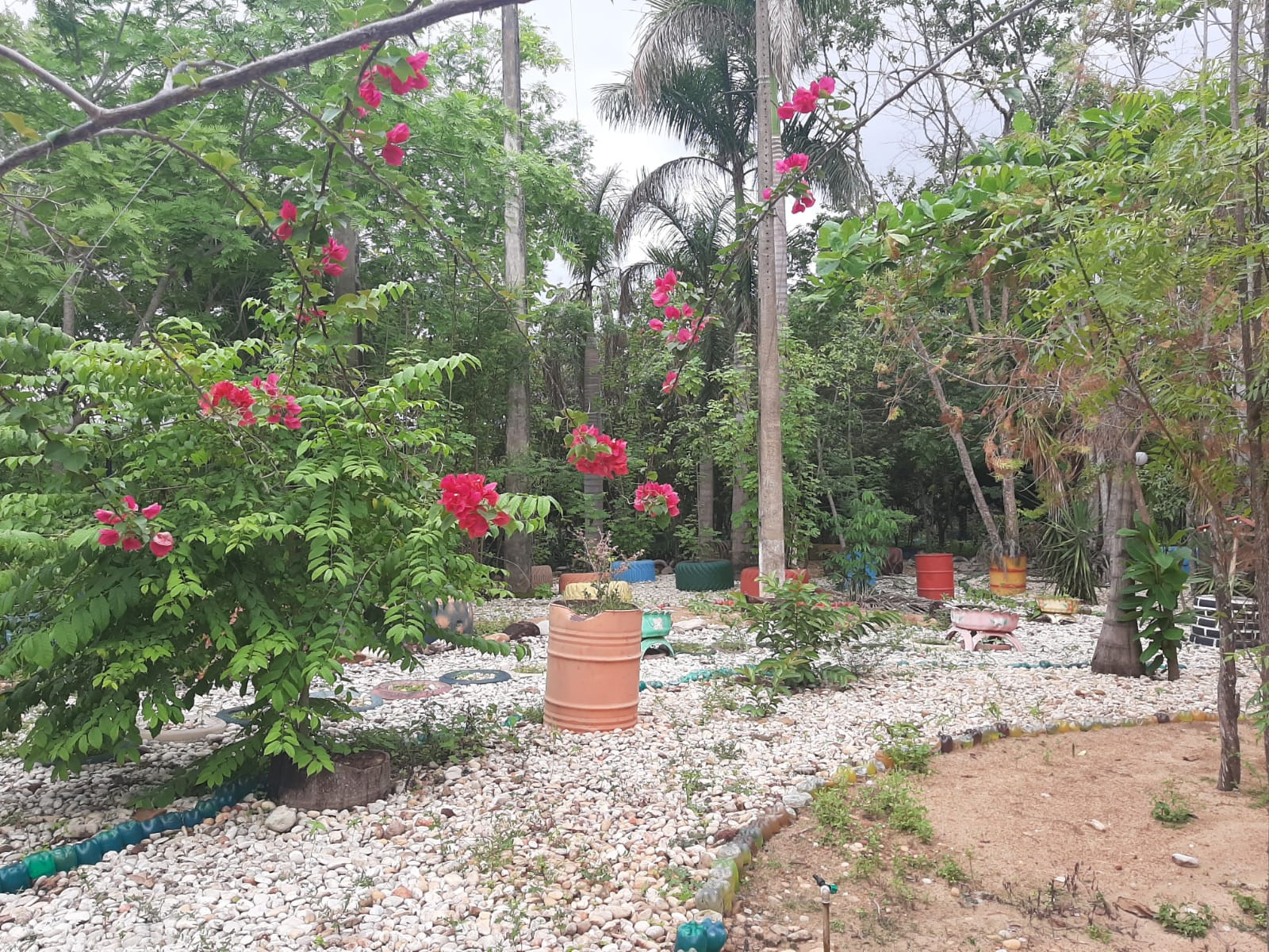 Praça Ecologica Pedro Pinheiro