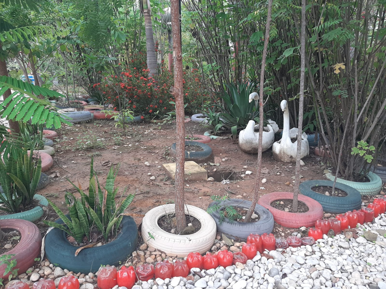 Praça Ecologica Pedro Pinheiro