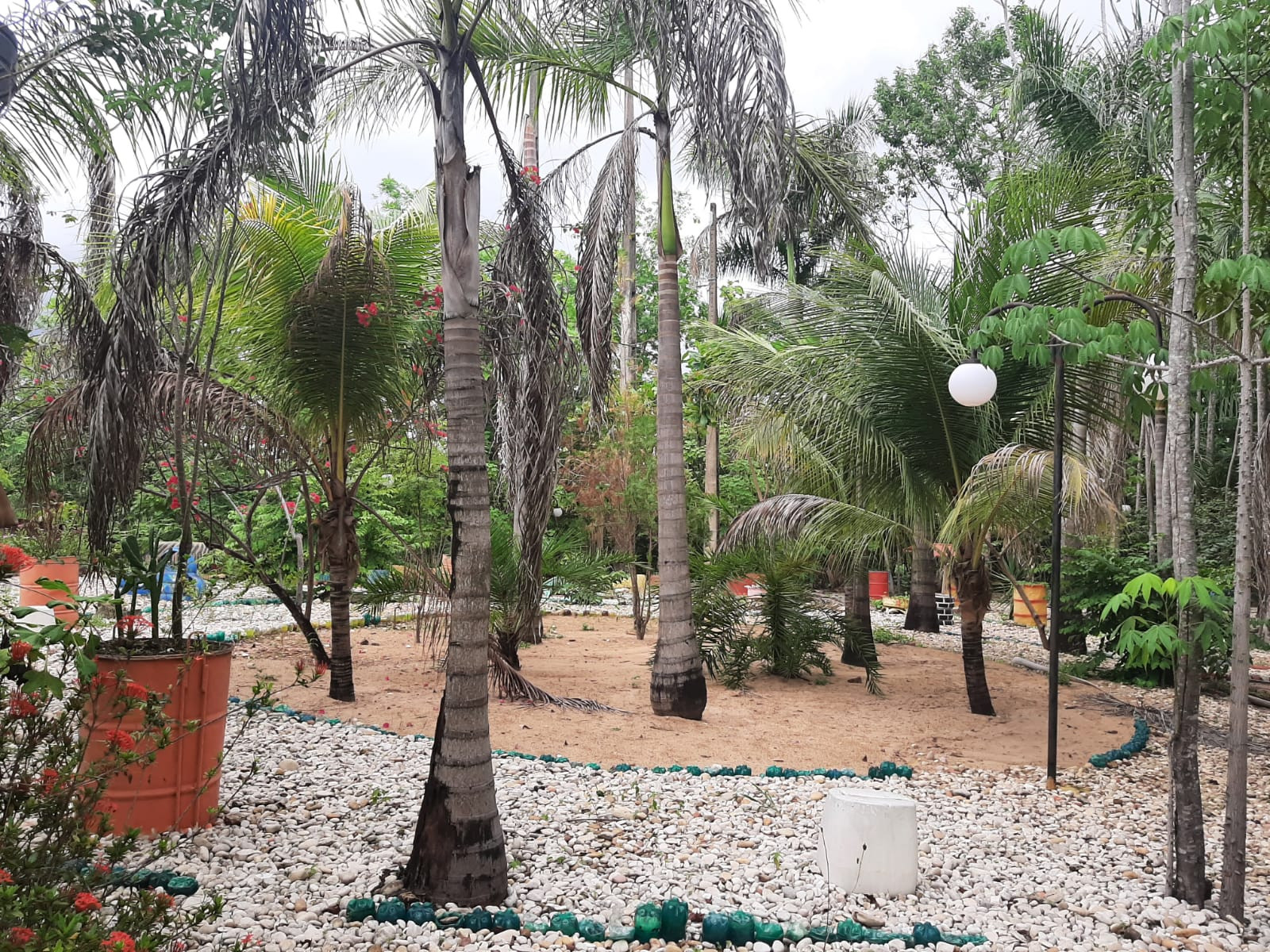 Praça Ecologica Pedro Pinheiro