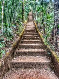 Cachoeira Escorrega Macaco